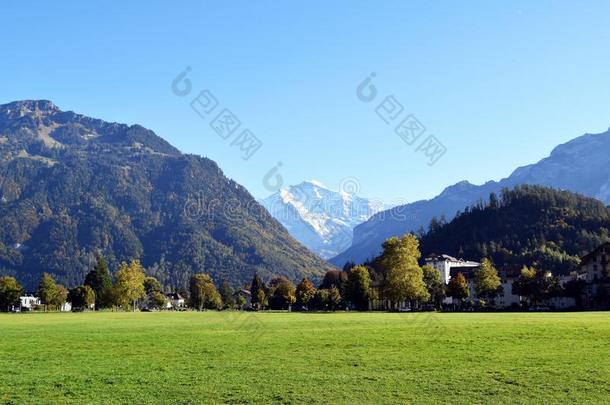 因特拉肯,瑞士,极<strong>大</strong>的<strong>草地</strong>花园被环绕着的在旁边巨人