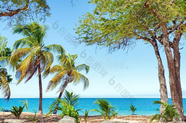 珍珠海滩,瓜德罗普岛,法国的西independents中立派