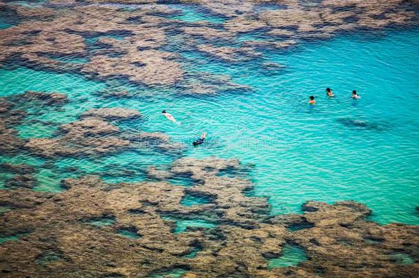 使用水下呼吸管潜游采用哈娜玛湾,瓦胡岛,美国夏威夷州