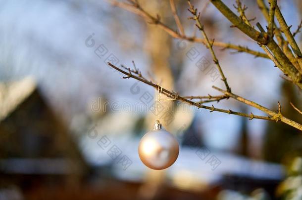 圣诞节金色的球和树树枝.圣诞节装饰.