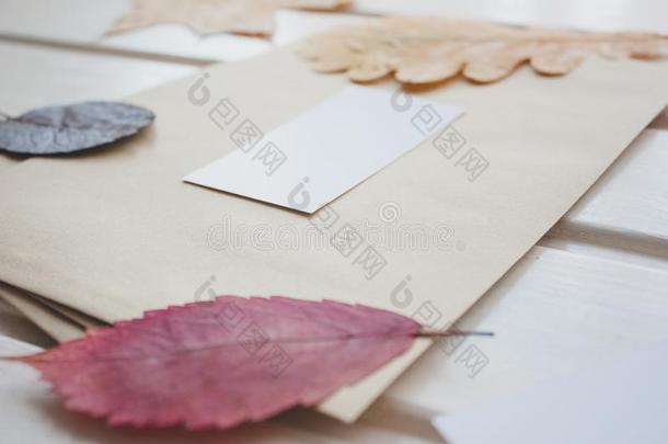 邮政的信封采用制动火箭方式.大约指已提到的人信封是富有色彩的