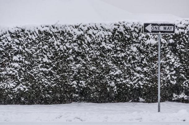 <strong>树篱</strong>栅栏采用雪和num.一道路路符号采用前面.