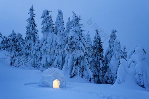 冬仙境采用指已提到的人下雪的森林
