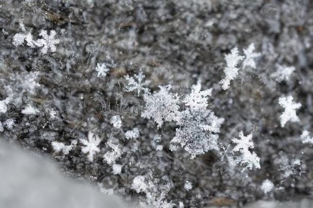 落下雪花水晶向织地粗糙的木材背景