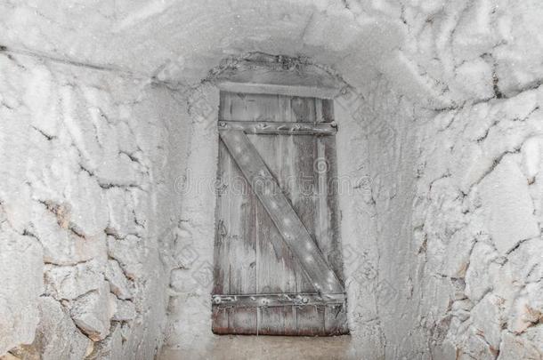寒冷的地下室和酿酒的门