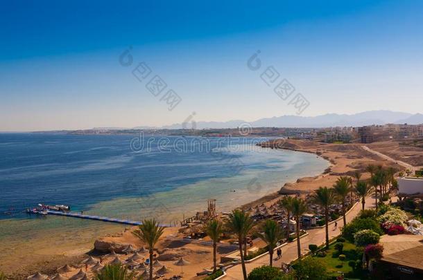 埃及.红色的海一天.海滩,海,胜利