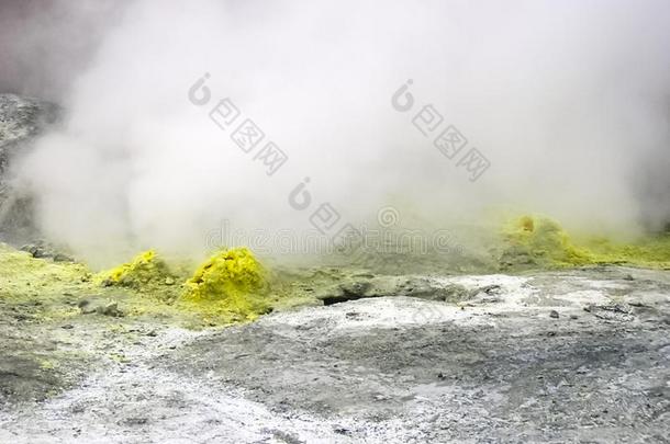 间歇喷泉在近处指已提到的人火山