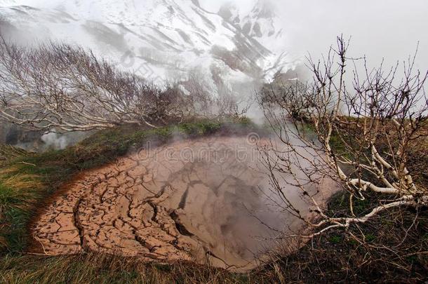 泥火山和蒸汽间歇喷泉采用堪察加半岛