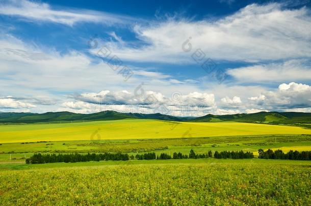 指已提到的人夏草原和云景风景优美的