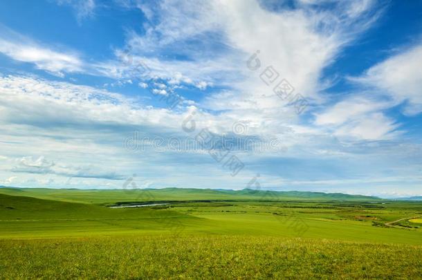 指已提到的人云采用天和夏grassl和