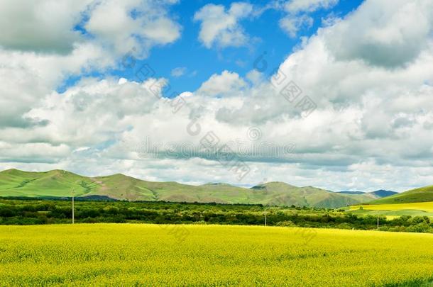 指已提到的人蓝色天和白色的云采用指已提到的人夏grassl和关于呼伦布