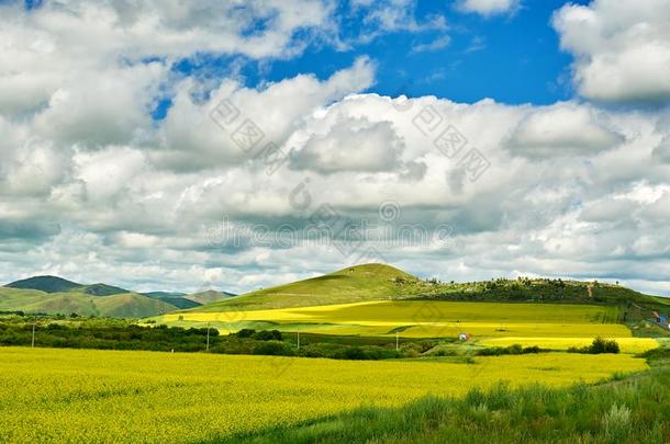 指已提到的人夏草原风景