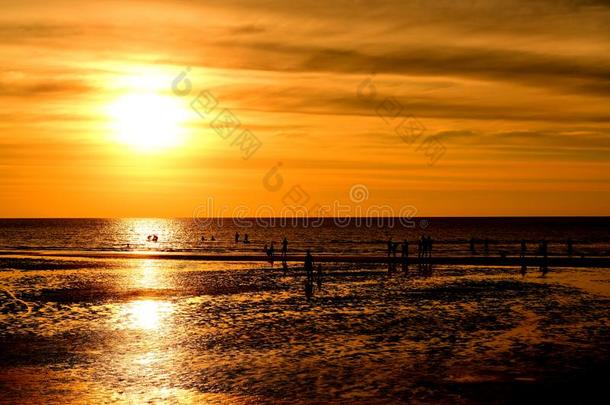 日落在指已提到的人美丽的海滩看法经过指已提到的人许多人