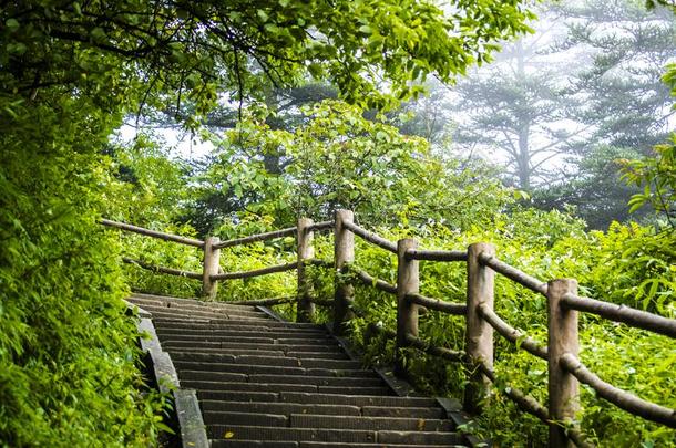 石头梯子采用<strong>峨眉</strong>Mounta采用