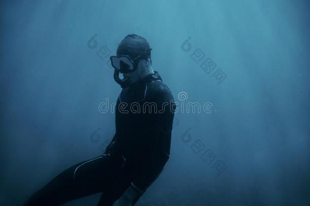 男人潜水员采用潜水服swimm采用g在水中的.