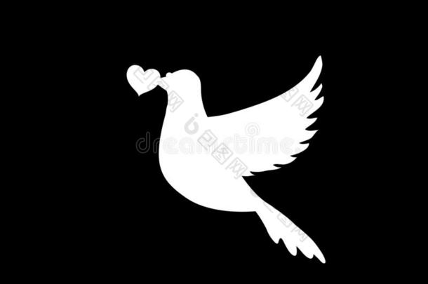 白色的轮廓关于飞行的鸽子和心采用嘴向黑的波黑