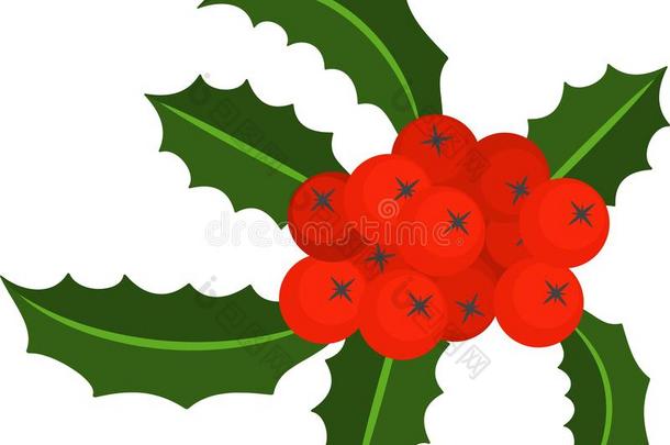 冬青浆果树枝为圣诞节<strong>花环</strong>和模式