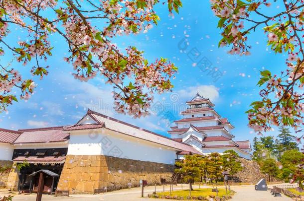 阿祖-wakamatsu公司城堡和樱桃花采用福岛,黑色亮漆