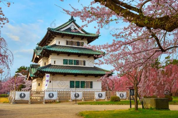 满的花樱花-樱桃花在弘前城堡采用弘崎。