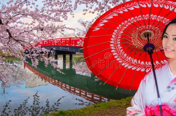 日本人女人采用和服衣服和满的花樱花-樱桃英语字母表的第2个字母
