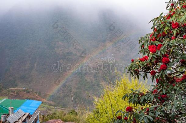 尼泊尔的之后的景观雨.山,村民,雨bow和rheumatism风湿病
