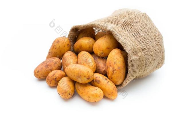 一个人简历黄褐色的马铃薯隔离的白色的背景