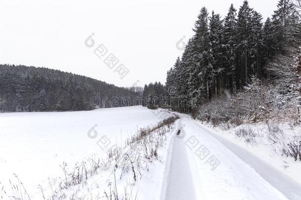 乡村路雪大量的.捷克人乡村