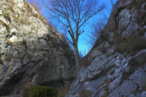 日落山全景画风景地平线建筑物自然湖