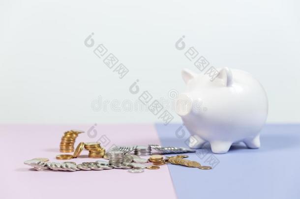 小猪银行和生长coinsurance联合保险