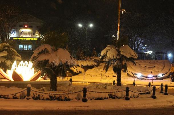 冬童话式的采用指已提到的人中心关于彼得里奇-一月寒冷的雪