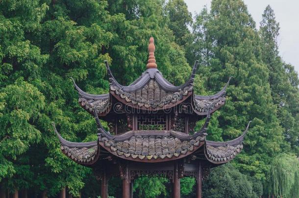 传统的中国人亭树在旁边西湖,杭州,中国