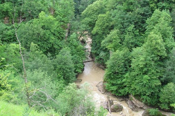 瀑布,泥泞的水,山河,森林