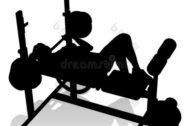 健身房女人轮廓重量长凳杠铃