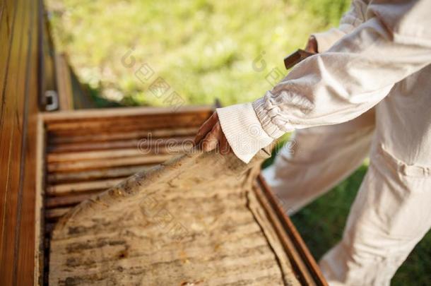 养蜂人采用一套外衣是（be的三单形式work采用g在养蜂场.Open采用g木制的蜂窝一