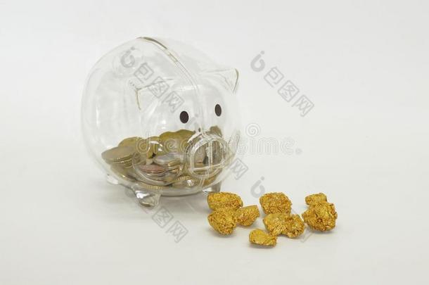 金块金向隔离的背景