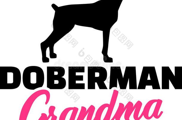 多伯曼短尾狗奶奶粉红色的