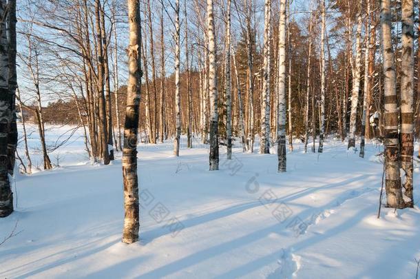 <strong>冬日</strong>落采用指已提到的人下雪的桦树木材.<strong>暖</strong>和的阳光