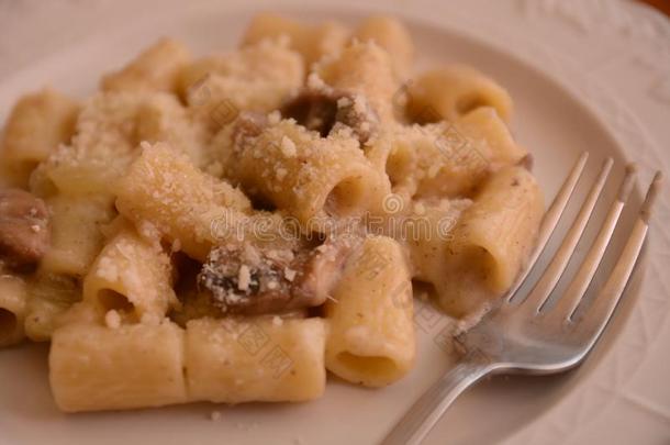 意大利人盘面团夹层和蘑菇和调味酱肌酸酐