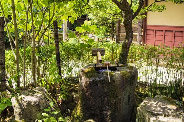 日本人chorister唱诗班歌手-巴比伦神话中的风雨神.日本人绿色的花园.美丽的日本人绿色的