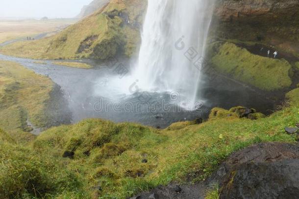 塞尔贾兰多斯瀑布采用冰岛;它的河流hitt采用g指已提到的人<strong>格林</strong>