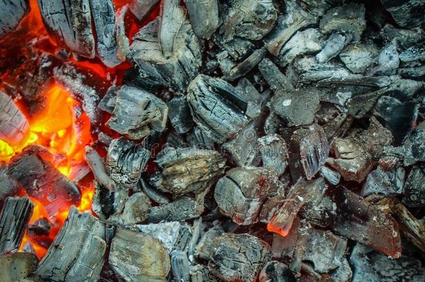 燃烧的<strong>煤炭</strong>,热的木炭烧烤,烹饪术肉向燃烧的<strong>煤炭</strong>