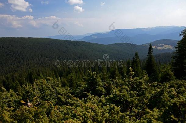 指已提到的人石头山峰关于指已提到的人山类关于哈弗拉乌克兰人挑剔