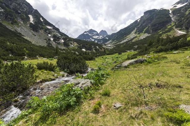 夏风景关于马利奥维特萨山峰和马利奥维斯卡河,里拉英语字母表的第13个字母