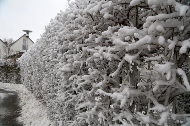 冬风景.冬风景后的重的下雪