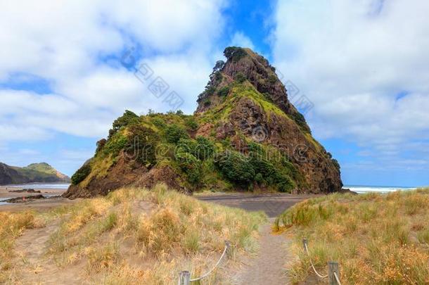 <strong>狮子岩石</strong>在近处Aucklad在皮哈海滩,新的西兰岛
