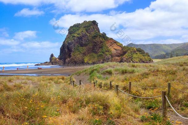 狮子岩石在皮哈海滩,西海岸在近处奥克兰,新的西兰岛