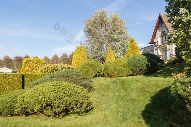 小屋花园和绿色的草地,树和平衡的灌木