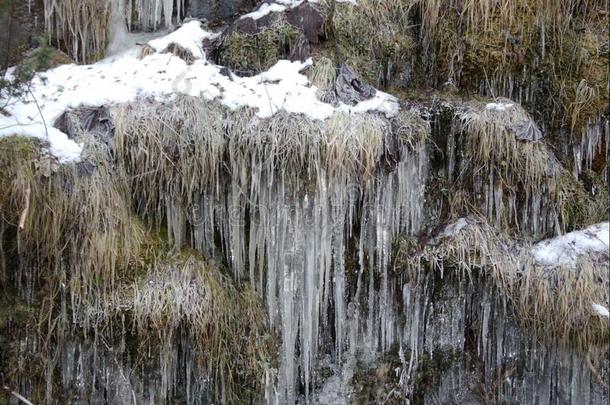 寒冷的水晶形成向森林水河流,冬风景demand需要