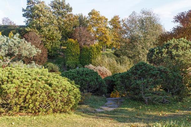 小屋花园和绿色的草地,树和平衡的灌木