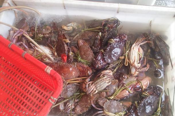 卖新鲜的海虾和别的海food在指已提到的人海food交易